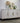 Emmy - 4 door console gold base - Gesso - 5323