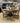 4930 - set of 2 upholstered chairs rum