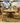 5080A - 60" pedestal table and 4 chairs cabernet