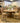 5081 - set of 4 dining chairs cabernet