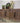 Colette - 6 solid door console - Bruma - 5358