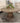 Sarah - 54" pedestal table - Arenario - 5381