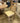 5081 - set of 4 dining chairs cabernet